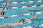 Swimming & Diving vs RWU  Swimming & Diving vs Roger Williams University. - Photo by Keith Nordstrom : Wheaton, Swimming